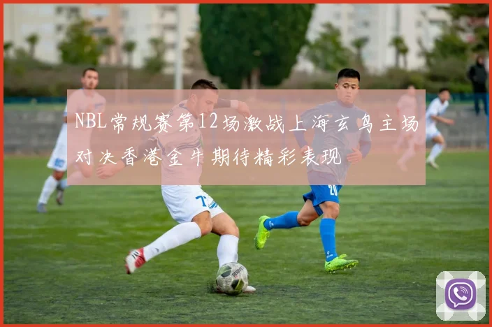 NBL常规赛第12场激战上海玄鸟主场对决香港金牛期待精彩表现