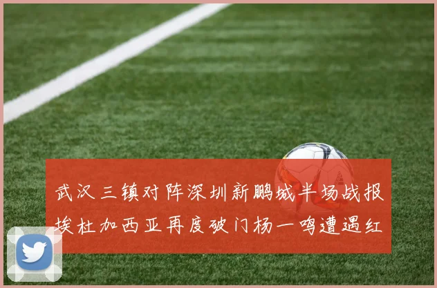 武汉三镇对阵深圳新鹏城半场战报埃杜加西亚再度破门杨一鸣遭遇红牌处罚