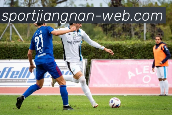 江南体育APP 封面图